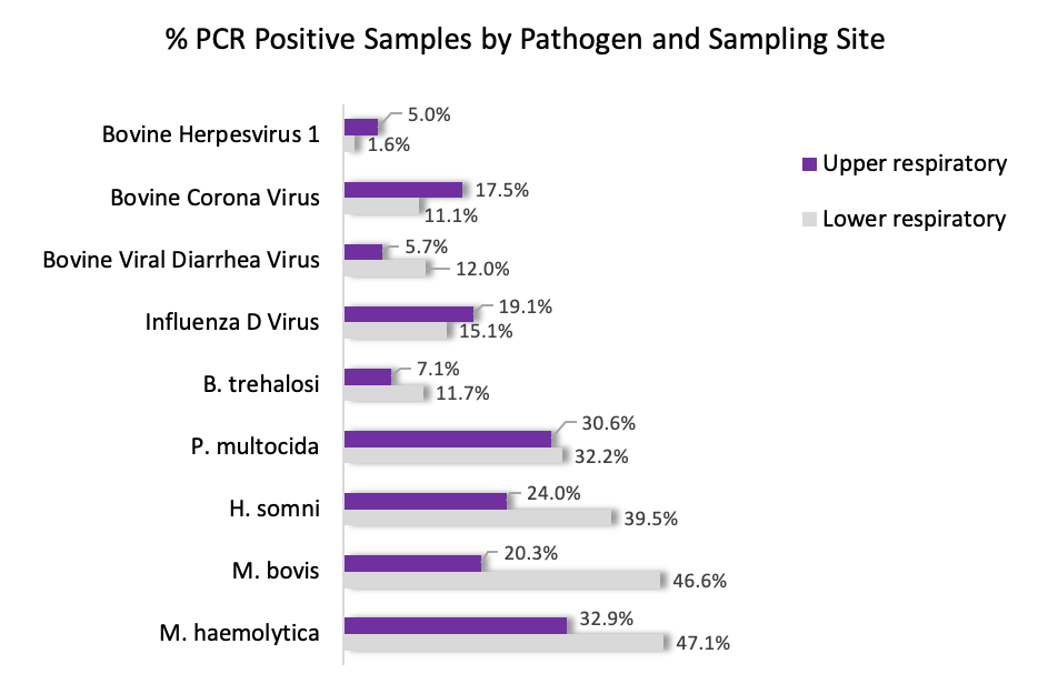 PCR positives