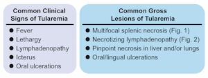 figure1