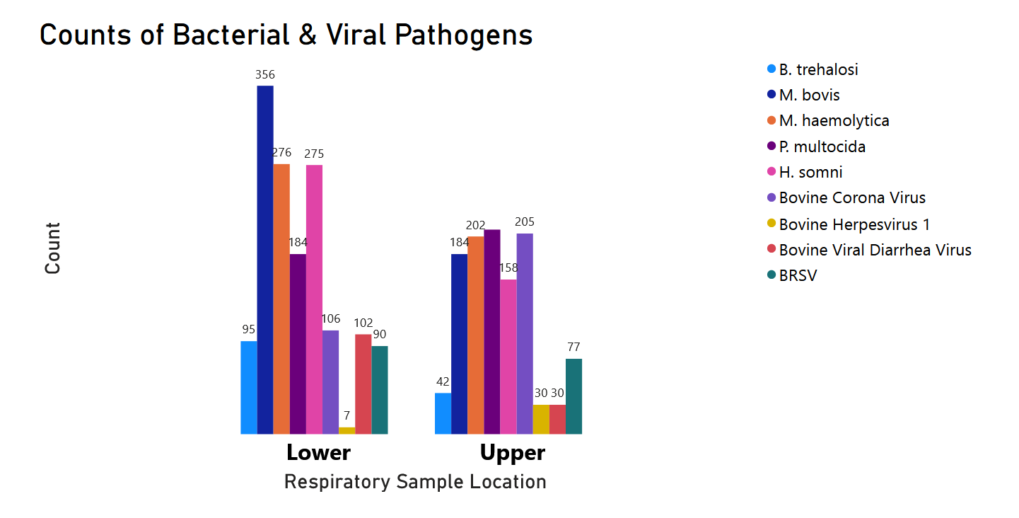 bacterial & viral pathogens