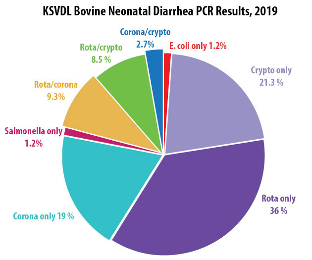 bovine neonatal diarrhea PCR results