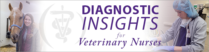 Diagnostic Insights for Veterinary Nurses