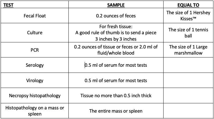 test sample size guidelines