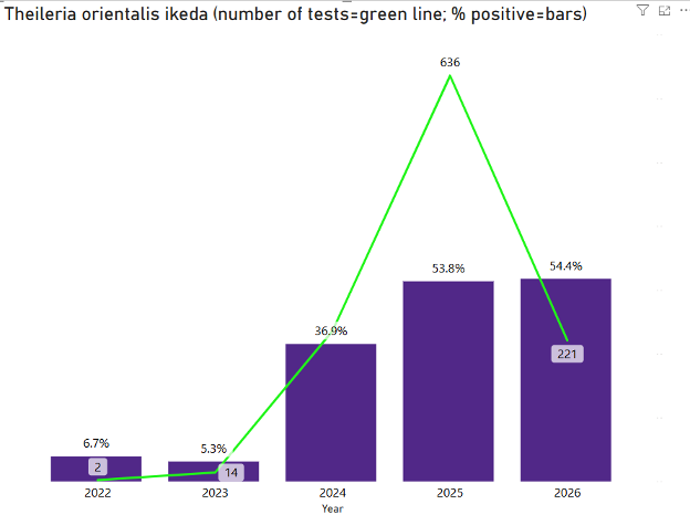 Chart showing Theileria orientalis ikeda results from 2022–2026, with percent positive and test counts both rising sharply over time.