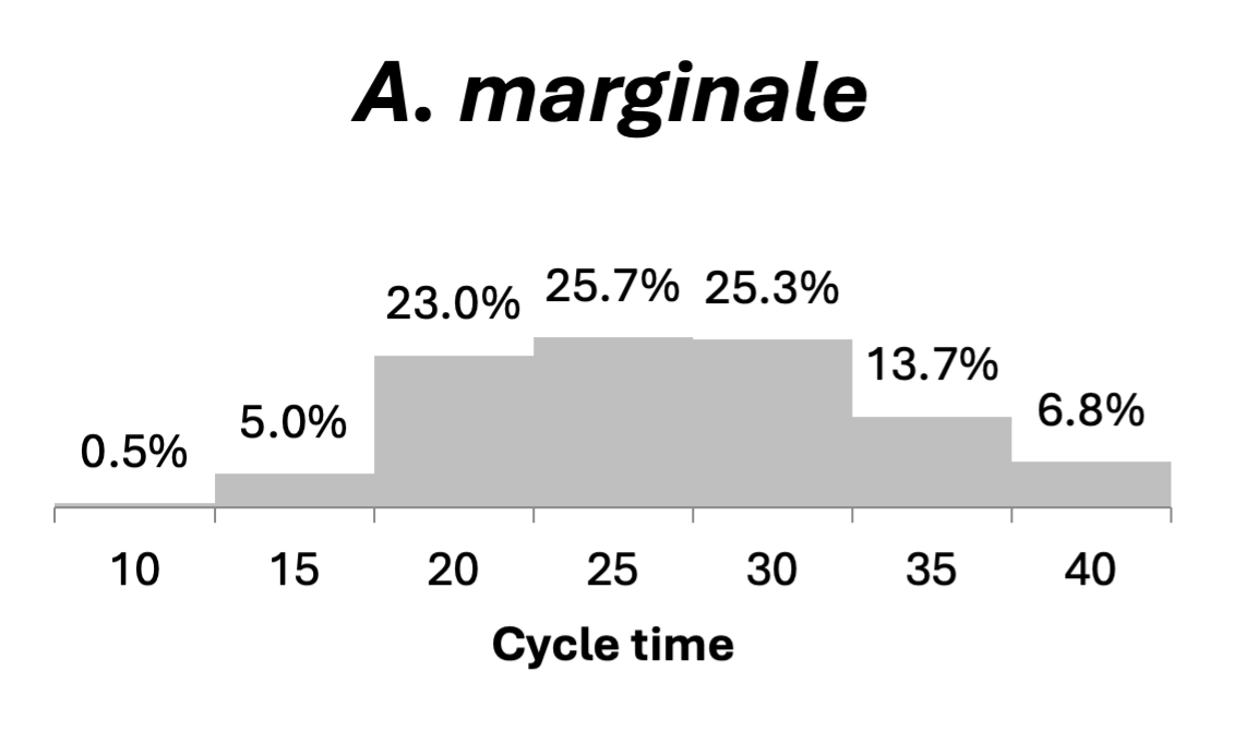 A. marginale cycle time table