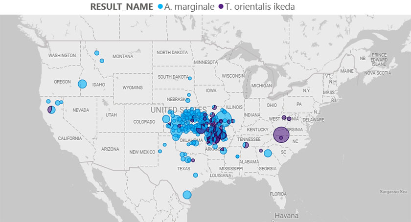 anaplaz map