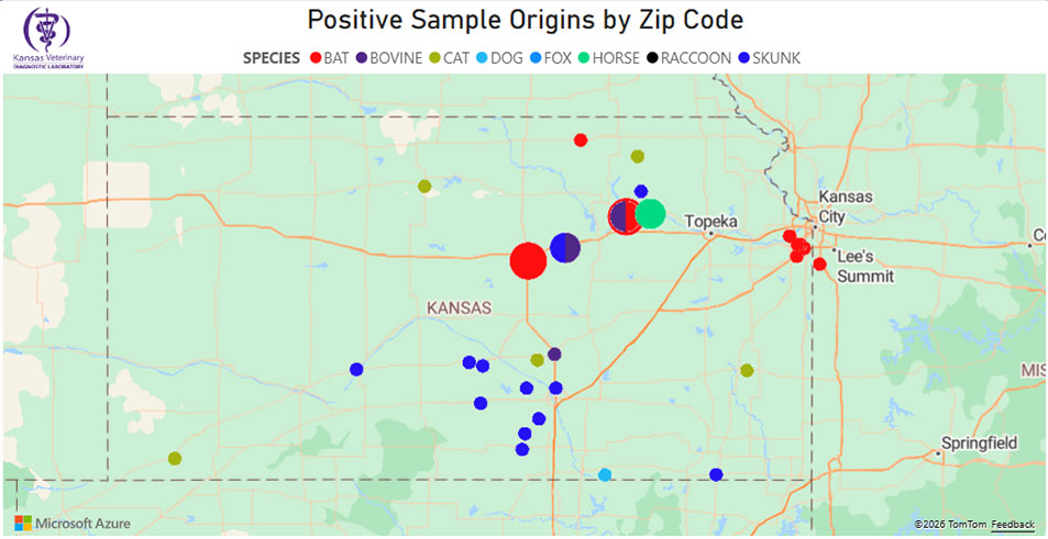 Click to enlarge rabies map