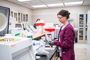 Emily Walker, medical technologist in the KVDL's clinical pathology laboratory, prepares to test a dog urine sample for its specific gravity.