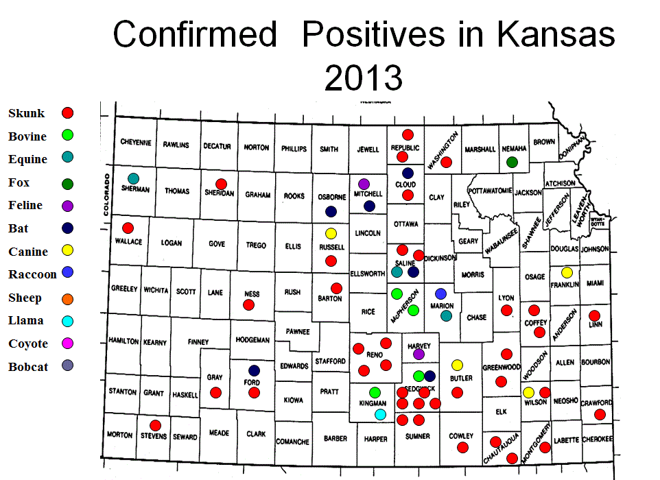 Thumbnail photo of Kansas positives on map