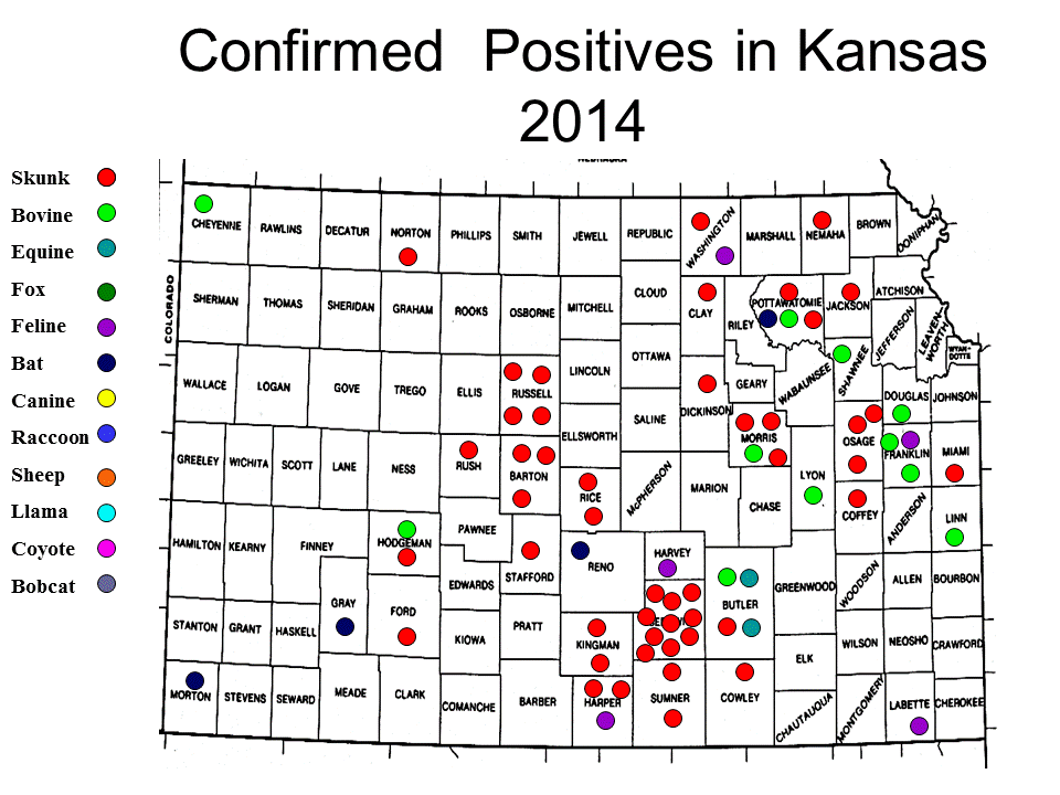 Thumbnail photo of Kansas positives on map